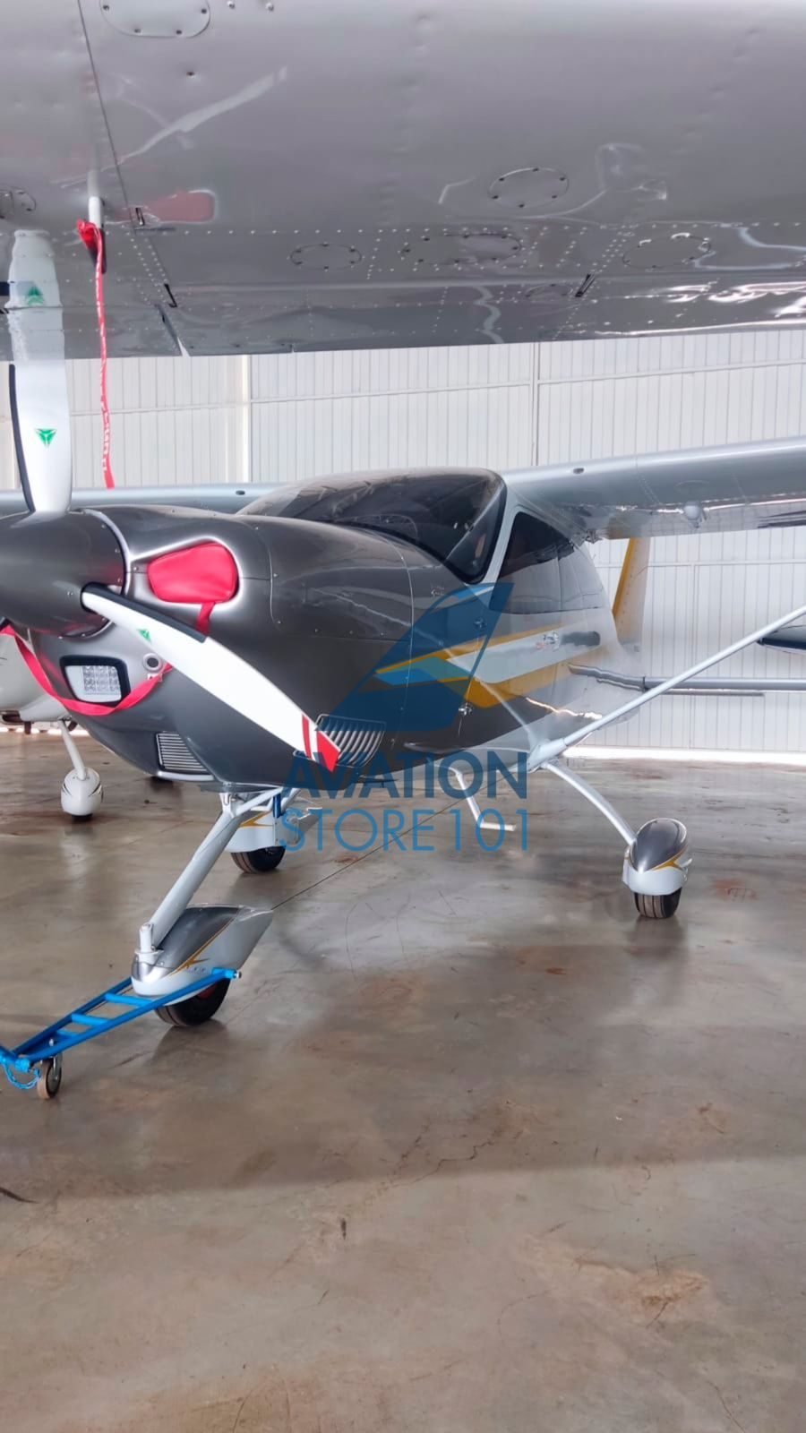 TECNAM P2010 TDI 2023